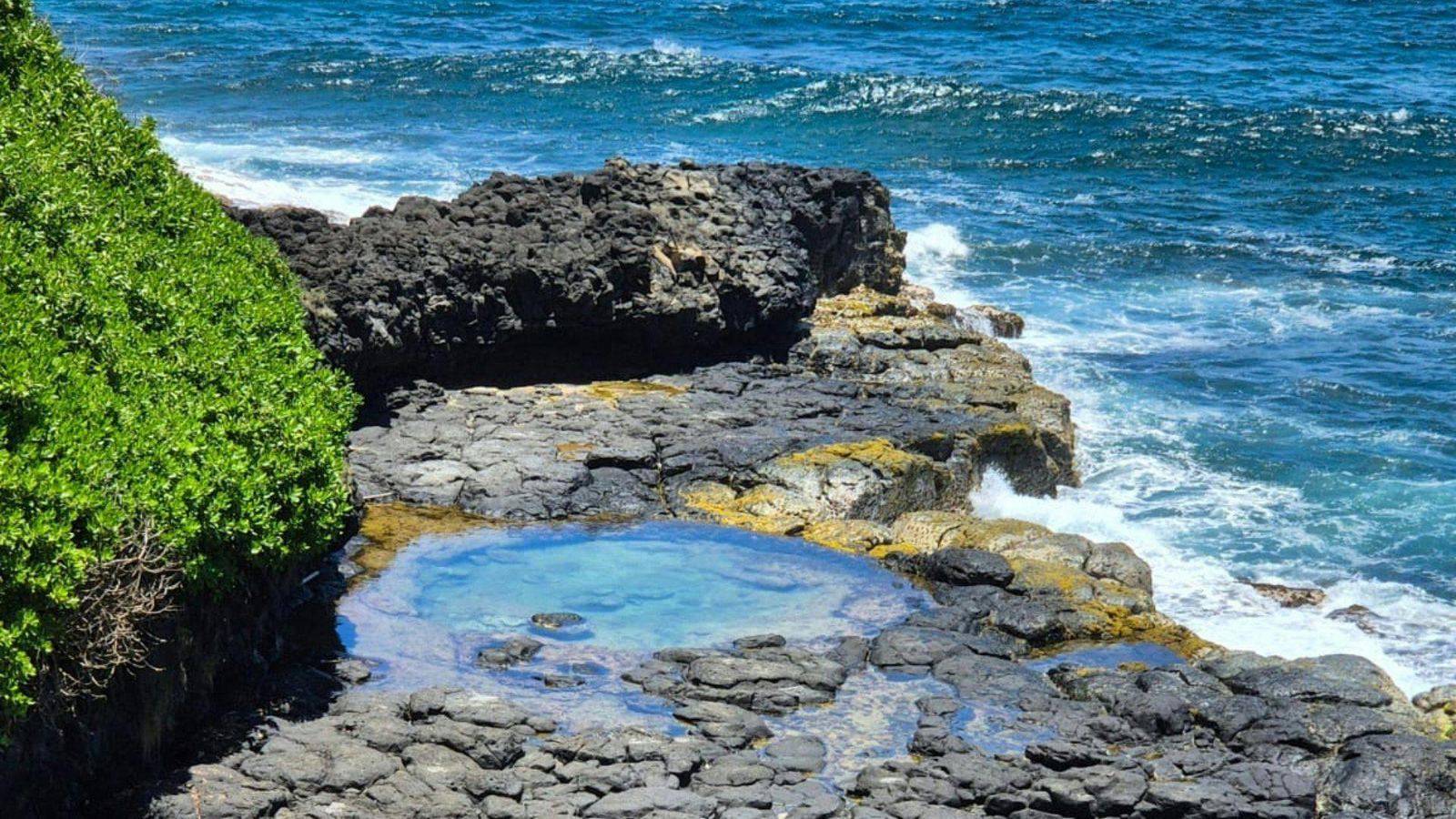 模里西斯南岸岩岸、海浪與熱帶景觀