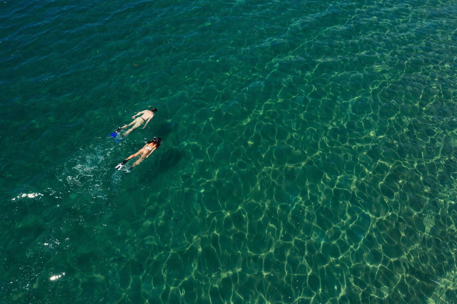 旅客在 Six Senses Con Dao 周邊清澈海域浮潛
