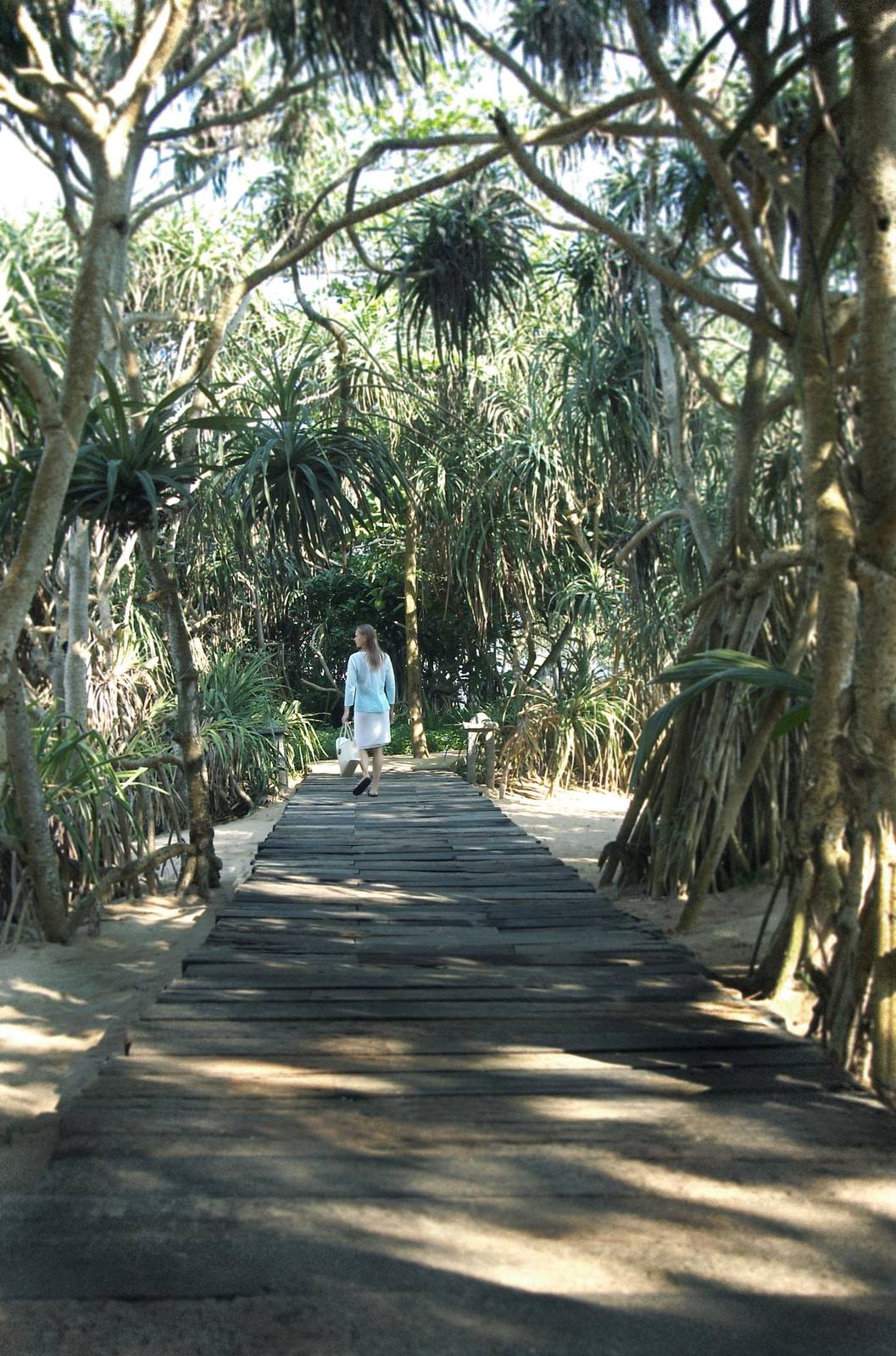 Taj Bentota Resort & Spa 林間步道