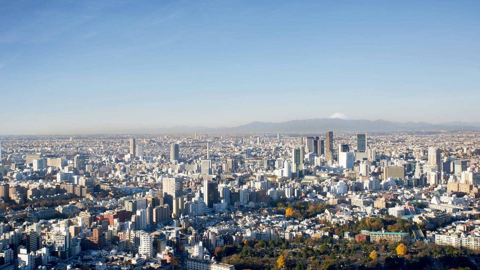 東京麗思卡爾頓酒店套房窗外的東京市景與富士山