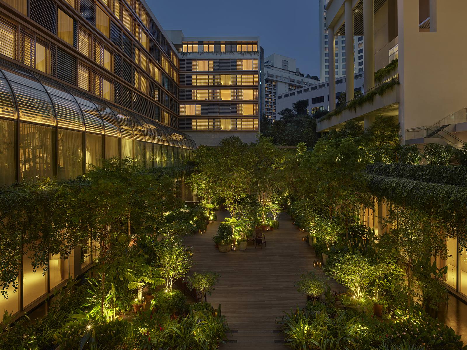 新加坡艾迪遜酒店空中花園夜景