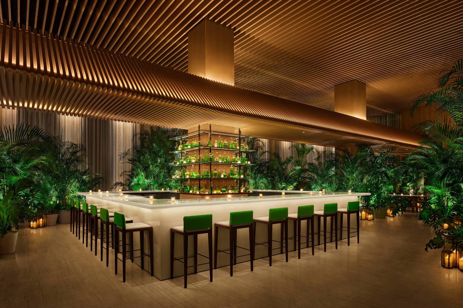 東京虎之門艾迪遜酒店大廳酒吧吧台與植栽