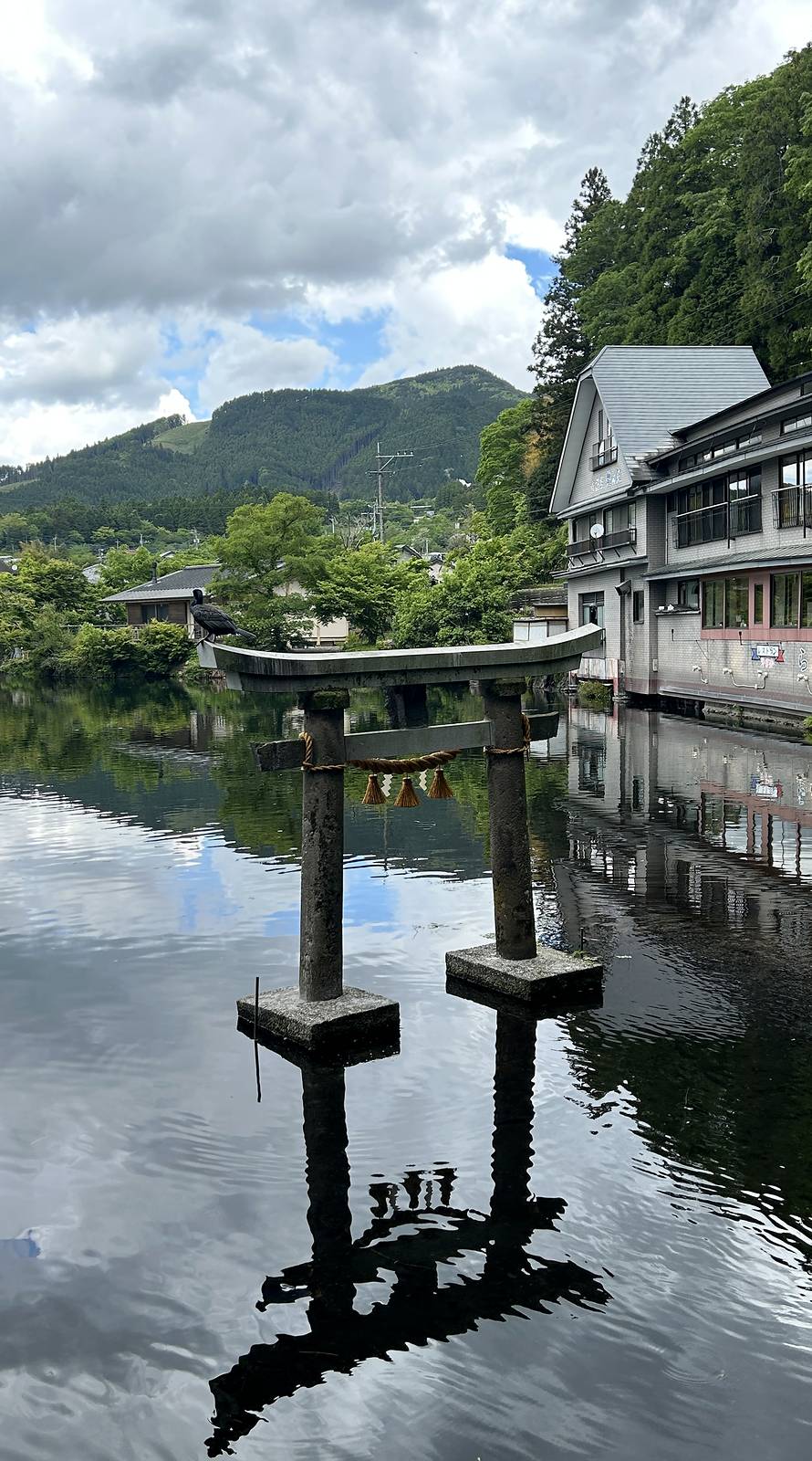 金鱗湖天祖神社前的石鳥居與完整倒影，後方是綠樹和湖畔建築