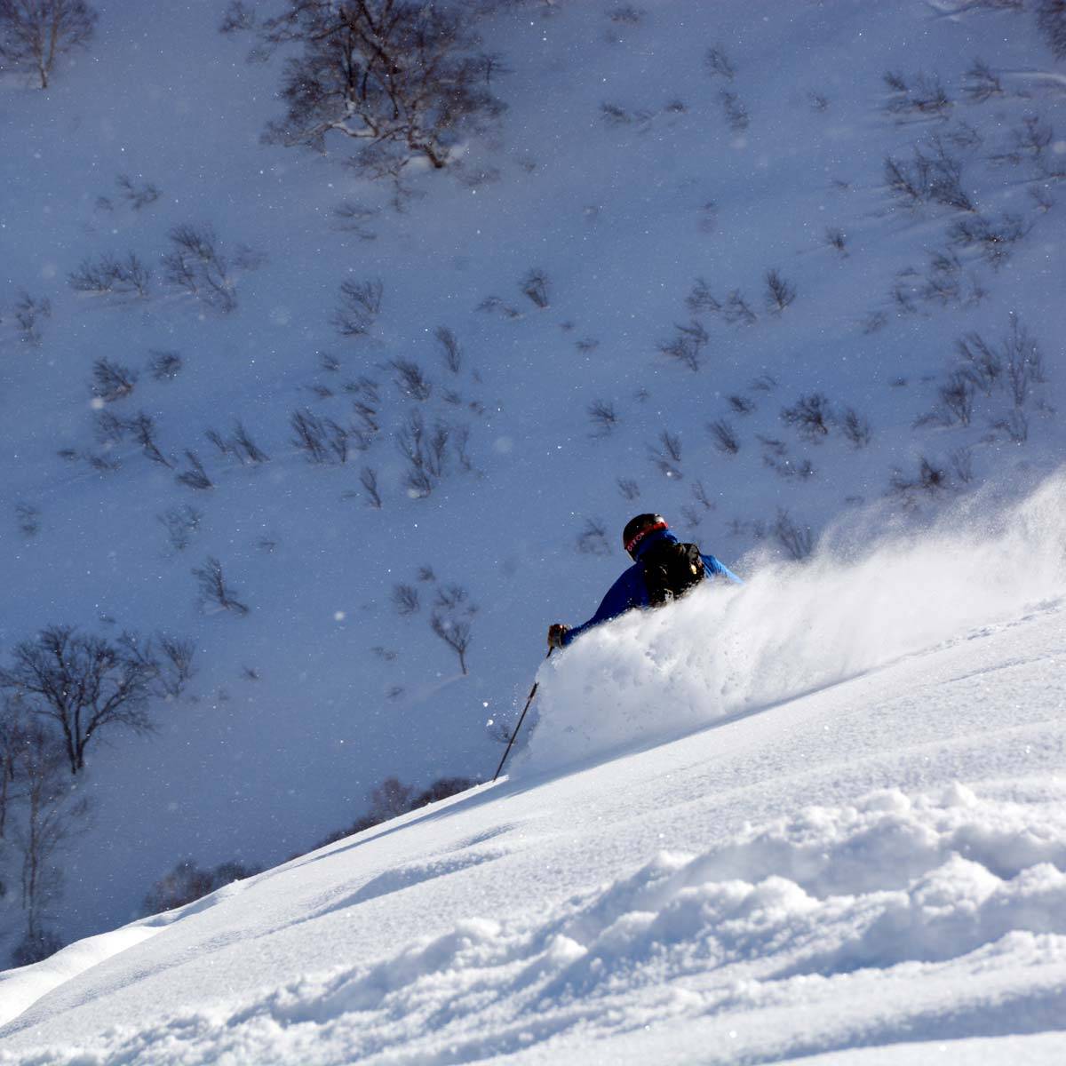 二世古粉雪滑雪