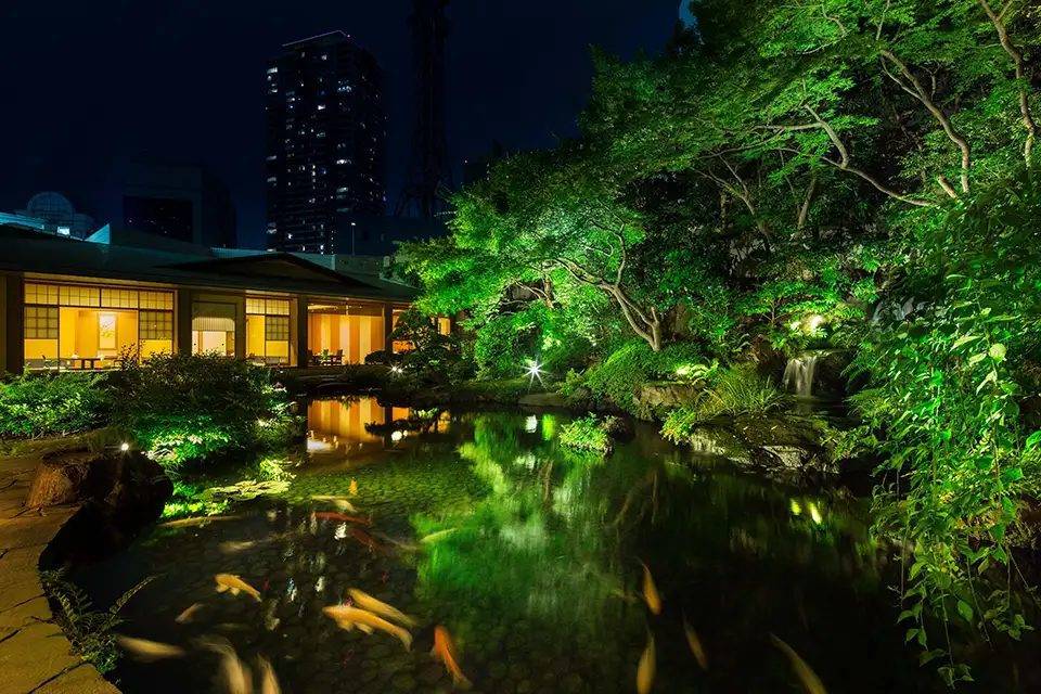 ANA 洲際酒店東京 雲海外的日本庭園夜景