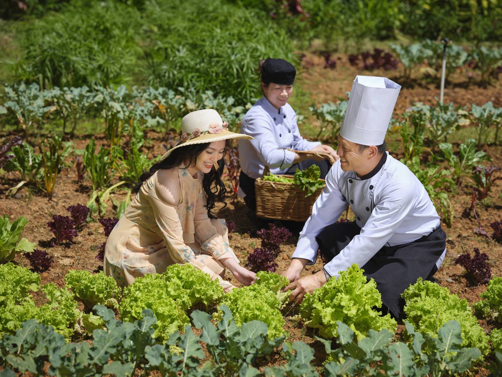 主廚與客人蹲在菜園裡採收生菜
