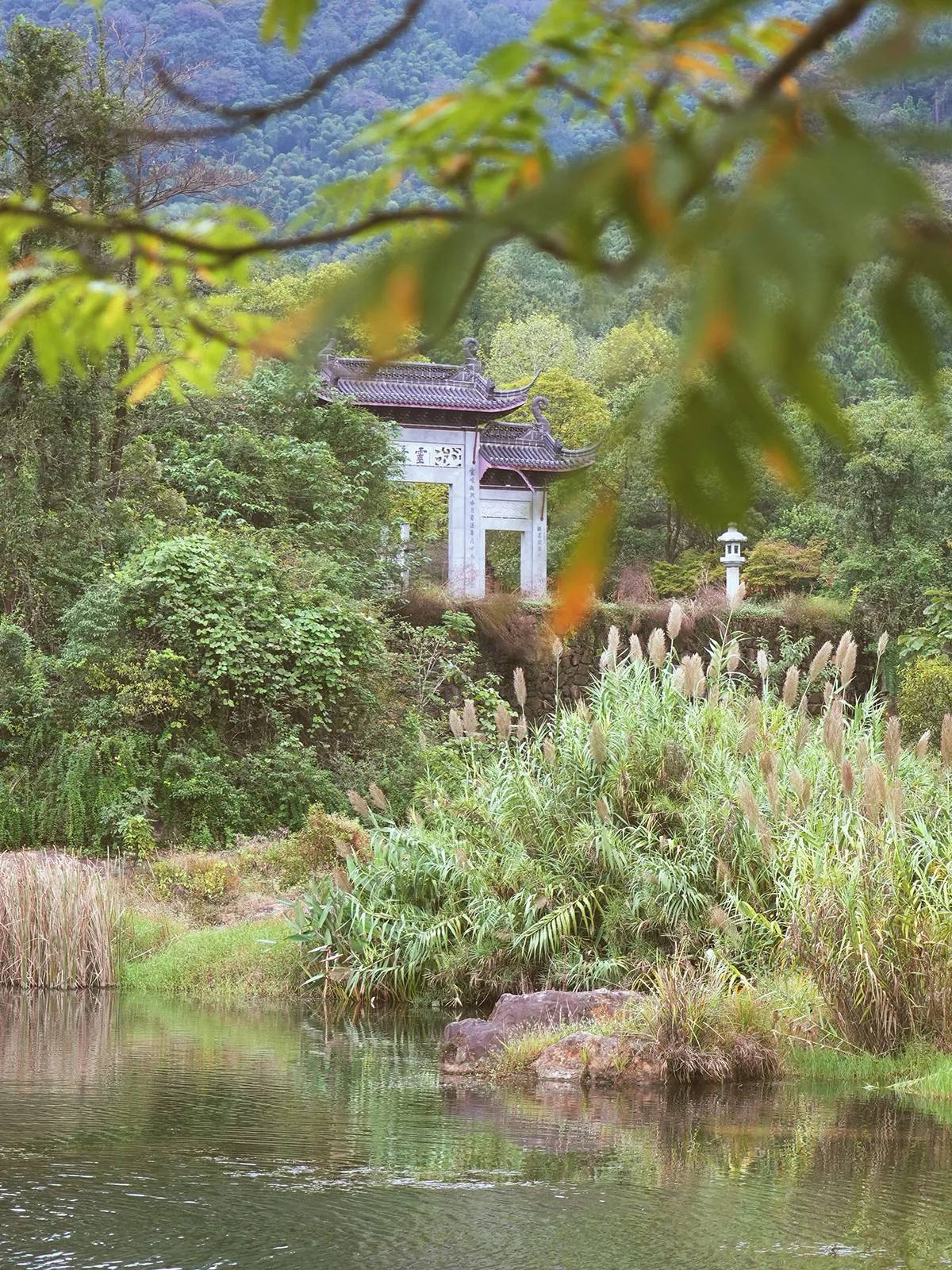 安吉悅榕庄園區水塘、蘆葦與山坡上的牌坊