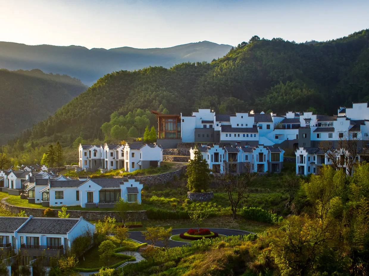 黃山悅榕庄山坡上的徽派建築與綠意