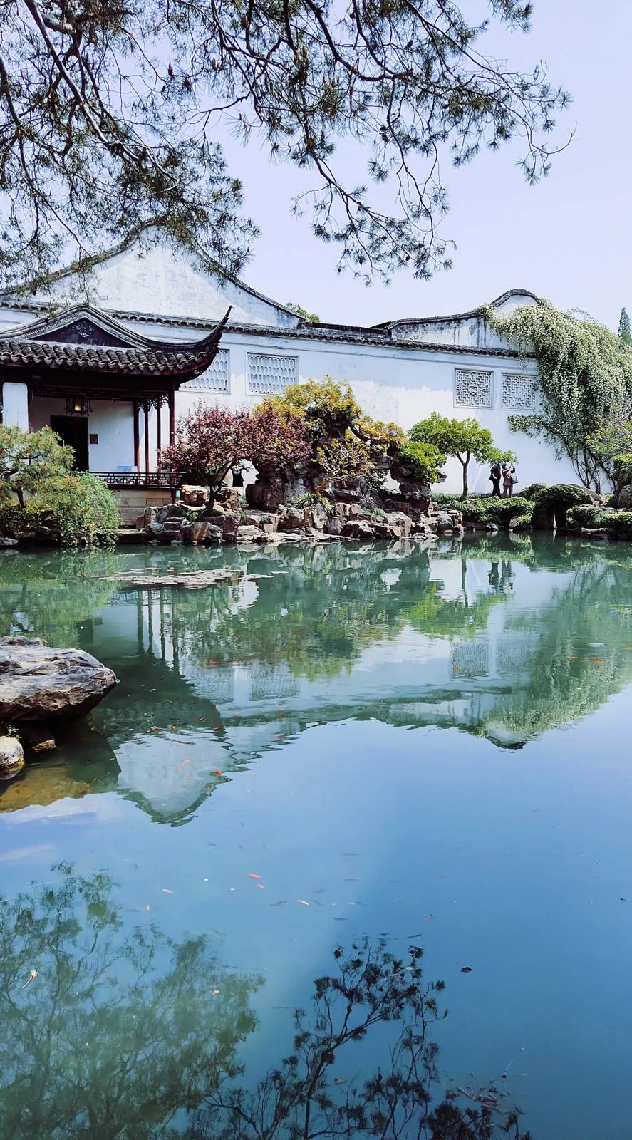 蘇州古典園林的亭台與倒影(目的地參考)