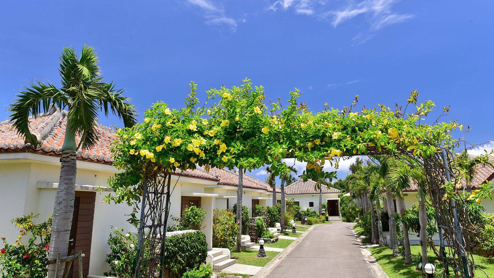 石垣島 富崎海灘渡假酒店花棚與棕櫚樹旁的赤瓦 Garden Villas