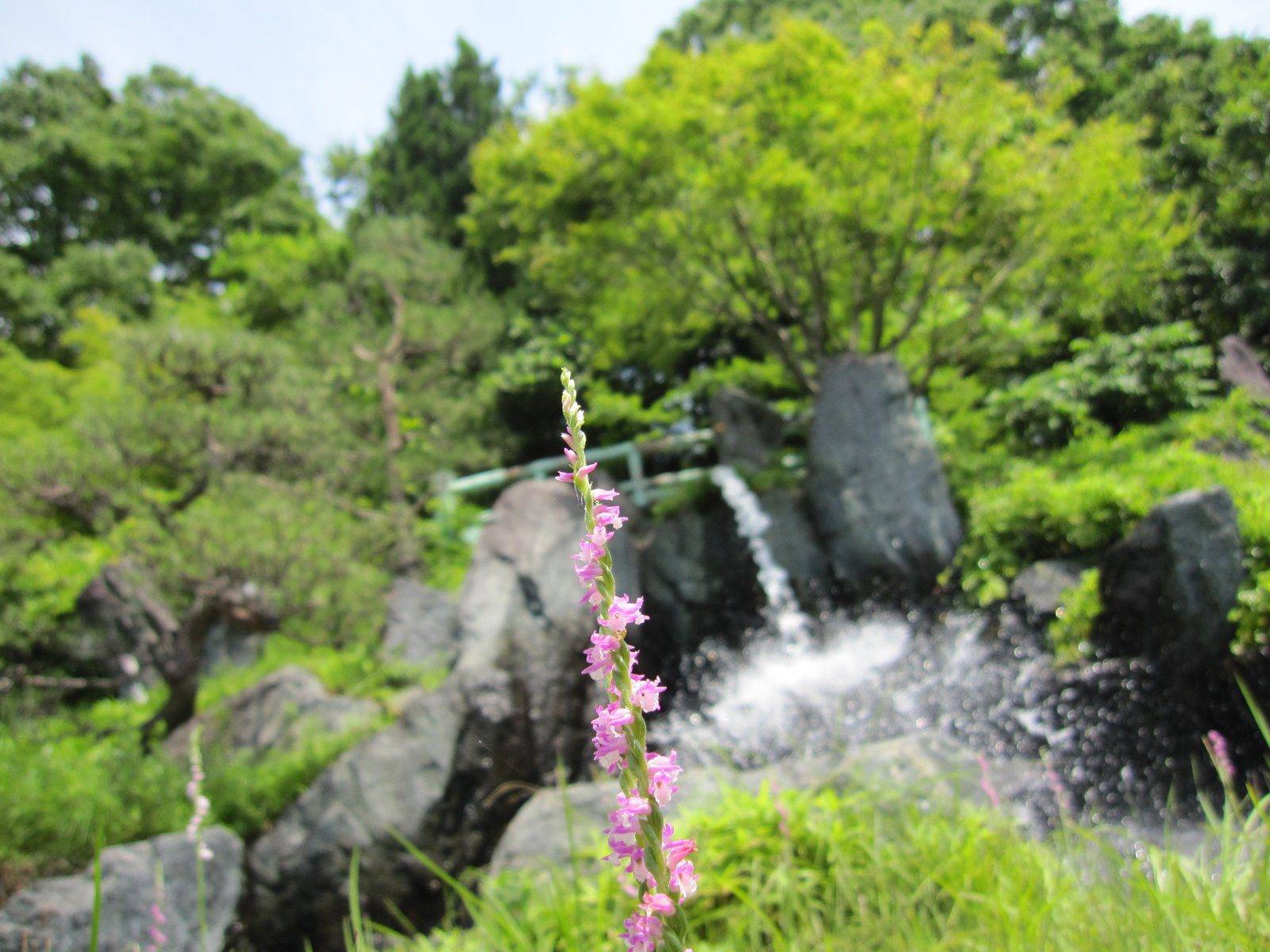 昼神溫泉 御宿山翠