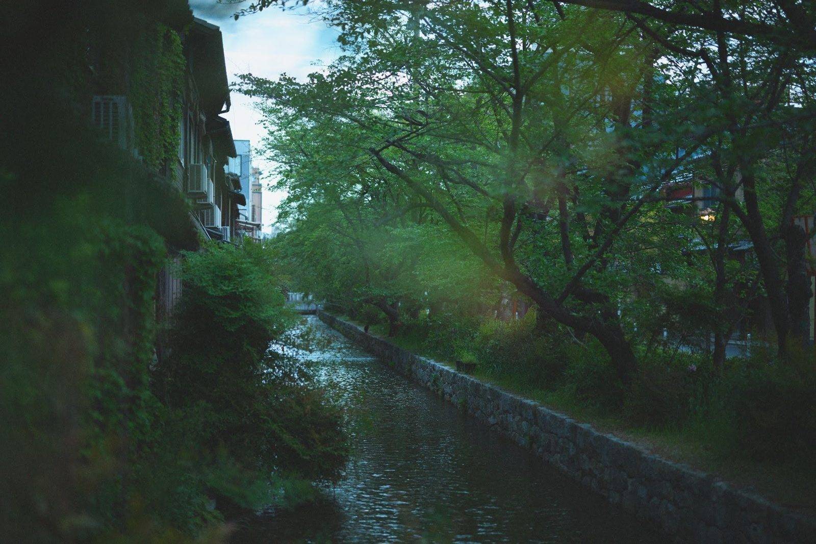 高瀨川與岸邊的綠樹