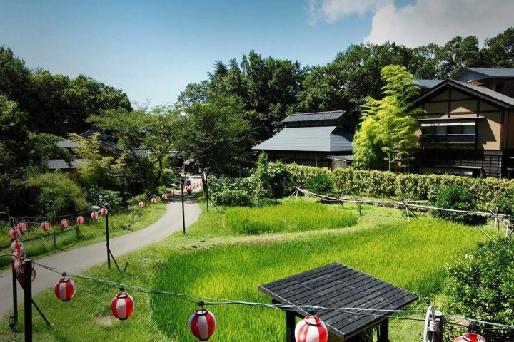 八幡野溫泉鄉 杜之湯 きらの里