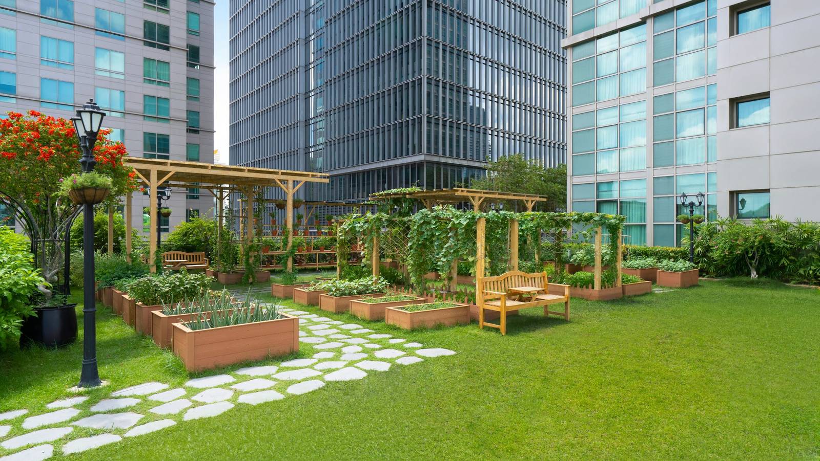 大樓之間的屋頂草坪、花架與種植箱