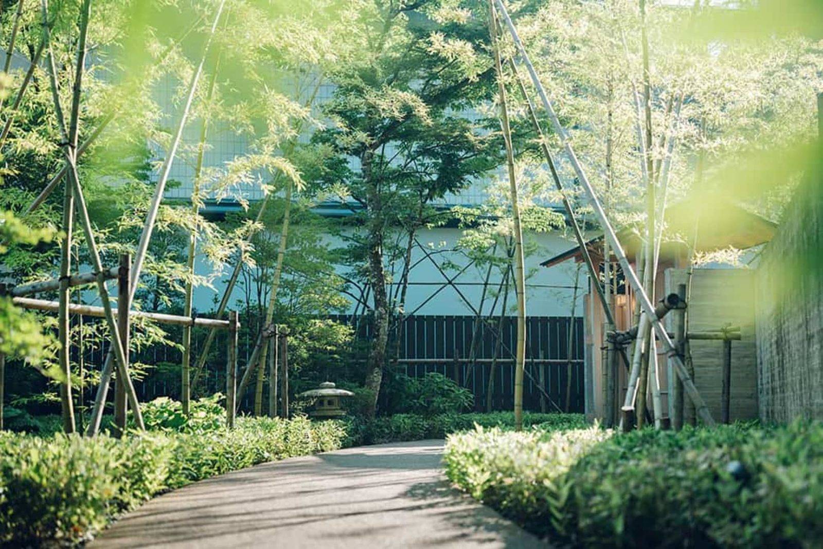 星野集團 界 仙石原通往旅館的林間步道