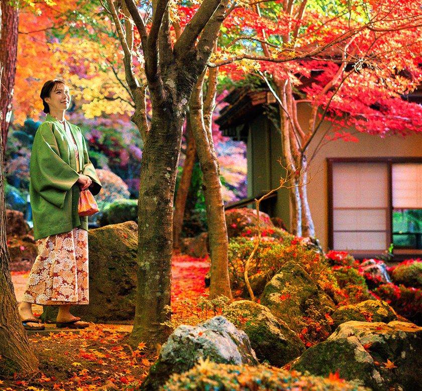 富士山溫泉 鐘山苑 迴遊式日本庭園的秋日紅葉