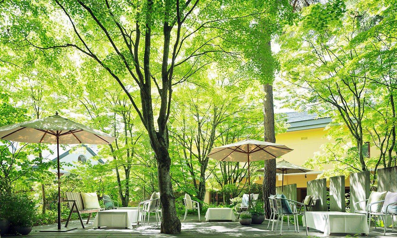 輕井澤 Hotel Bleston Court Lounge 戶外露台的陽傘座位與大樹