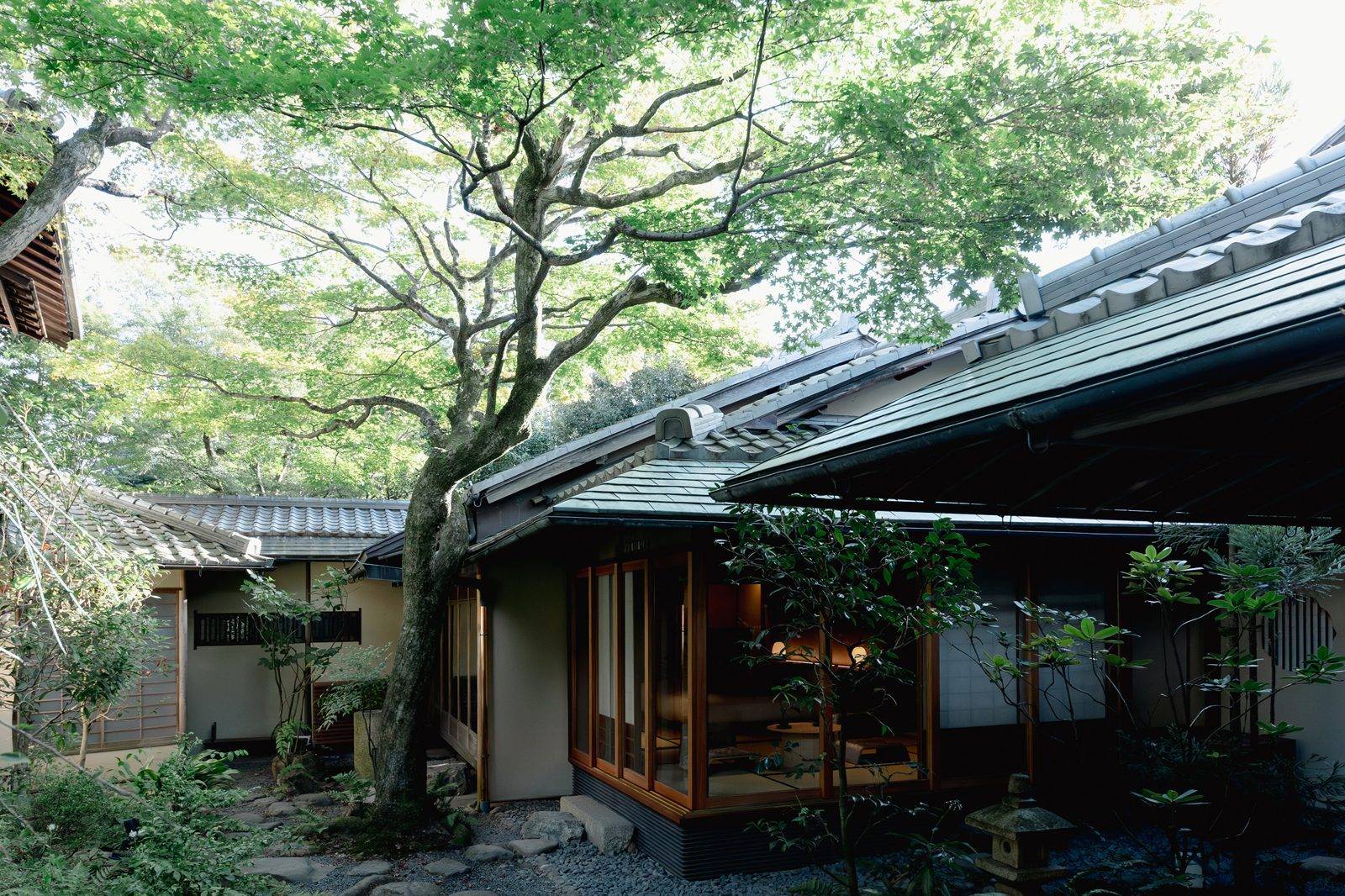 東山露地 Kazeno Heritage 京都從庭園看向室內