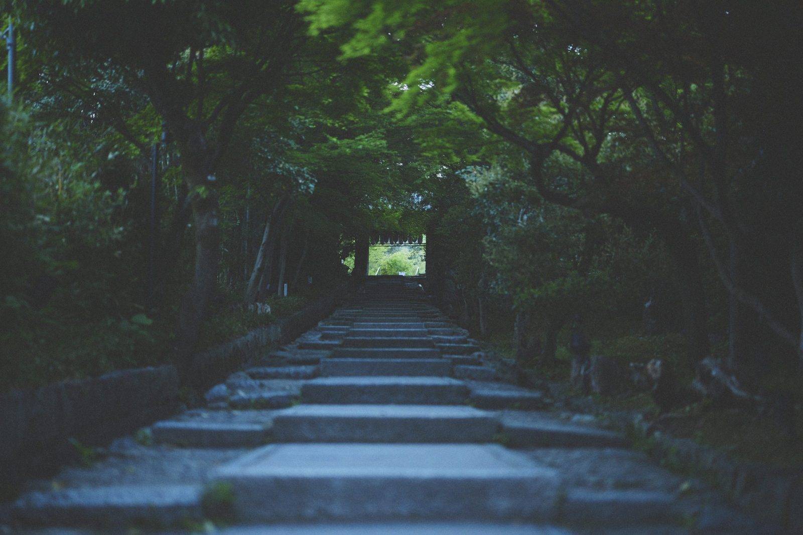 東山露地 Kazeno Heritage 京都東山的石階小徑