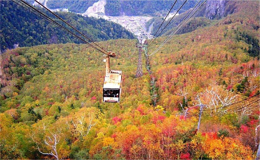 秋天旭岳纜車與滿山紅葉