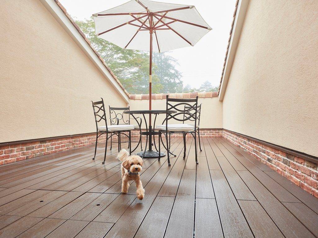Le Chien 舊輕井澤屋頂陽台的陽傘桌椅與小型犬