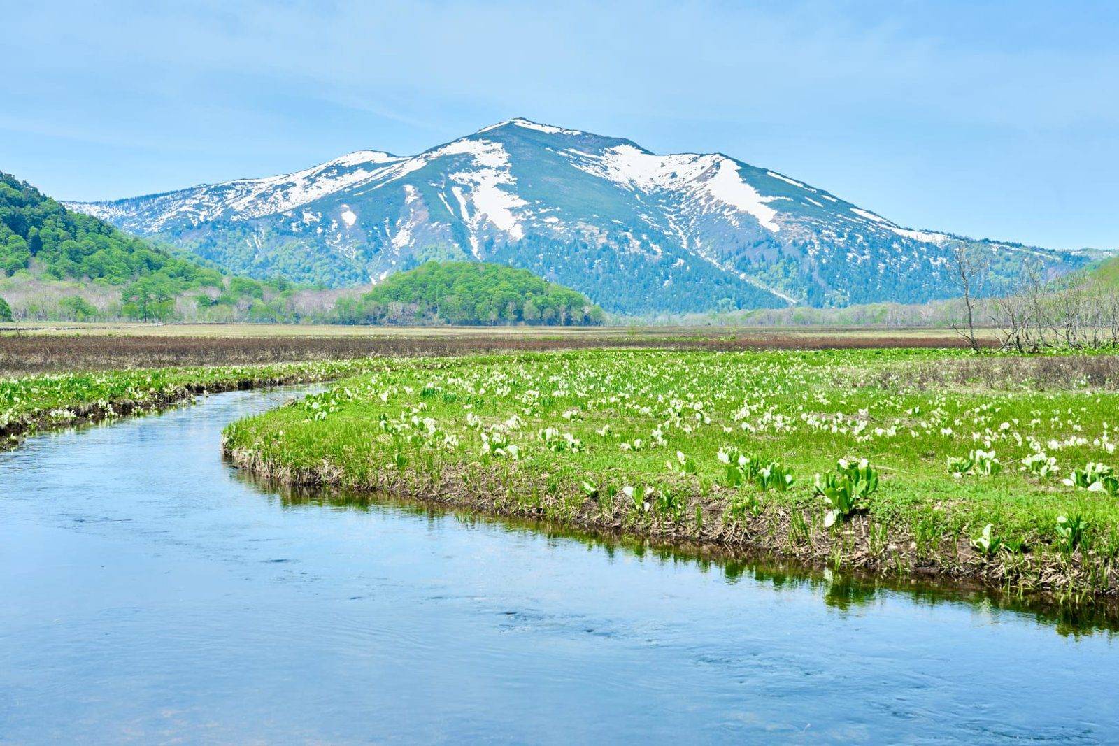 尾瀨殘雪的至佛山、溪流與水芭蕉濕原