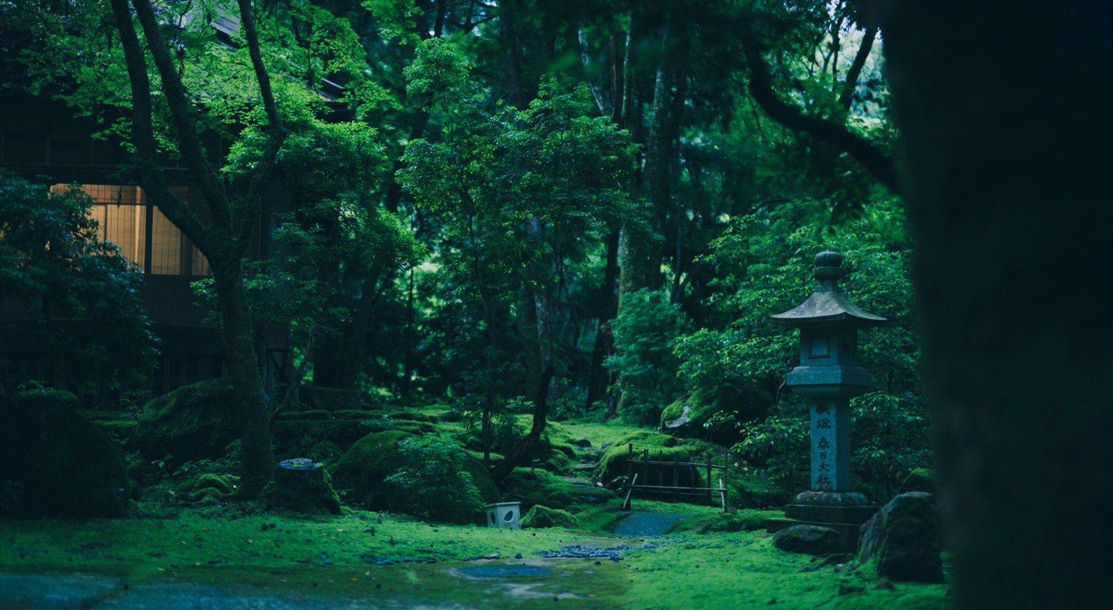 奈良春日奧山 月日亭的苔庭與石燈籠