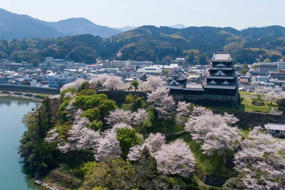櫻花季從空中看大洲城、肱川與城下町