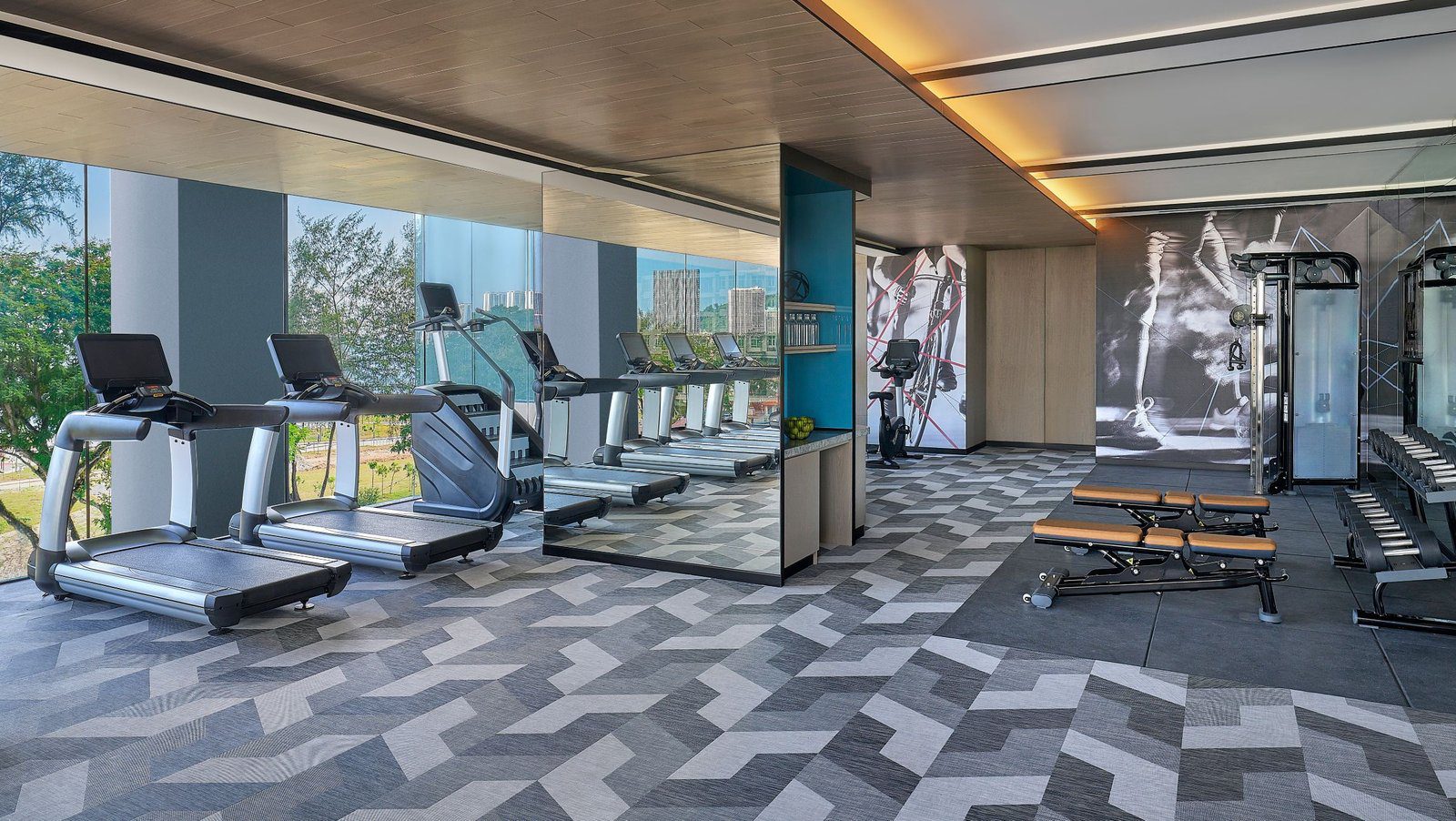 健身中心的跑步機與窗外綠意