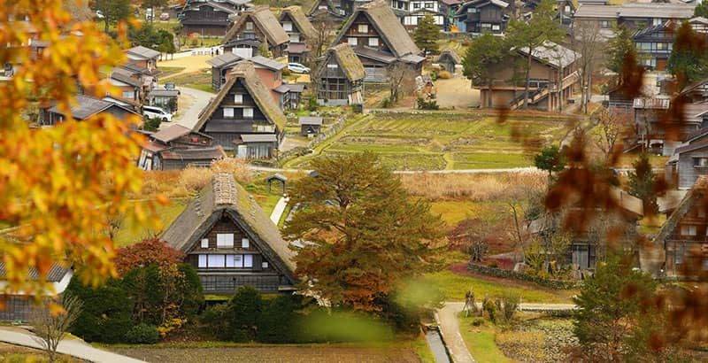 白川鄉的合掌造聚落