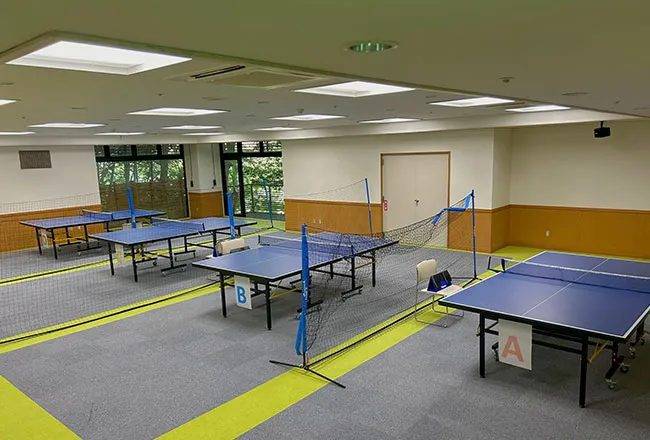 修善寺溫泉 桂川 桌球室
