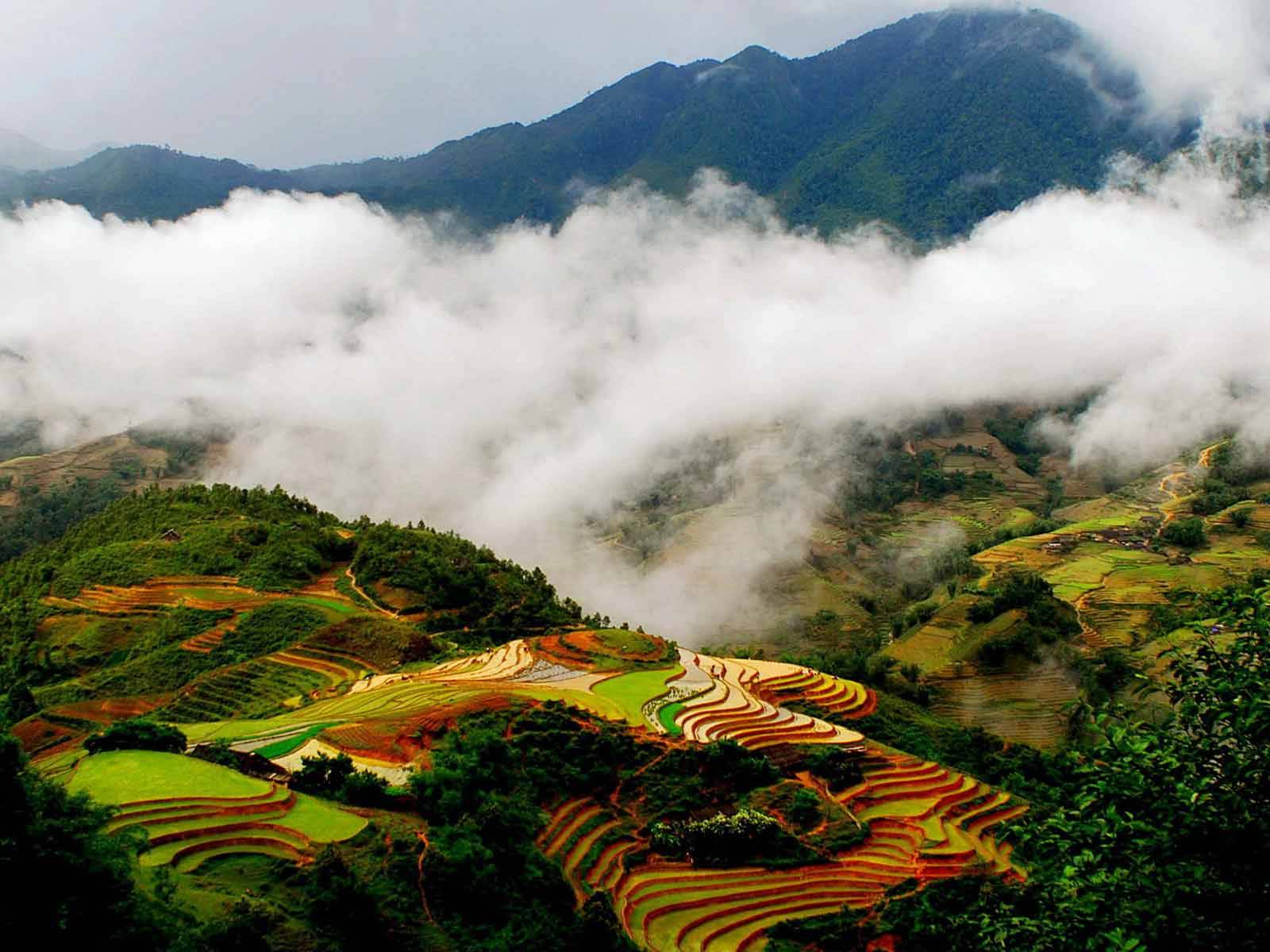 雲霧從山谷升起，下方是層層彩色梯田