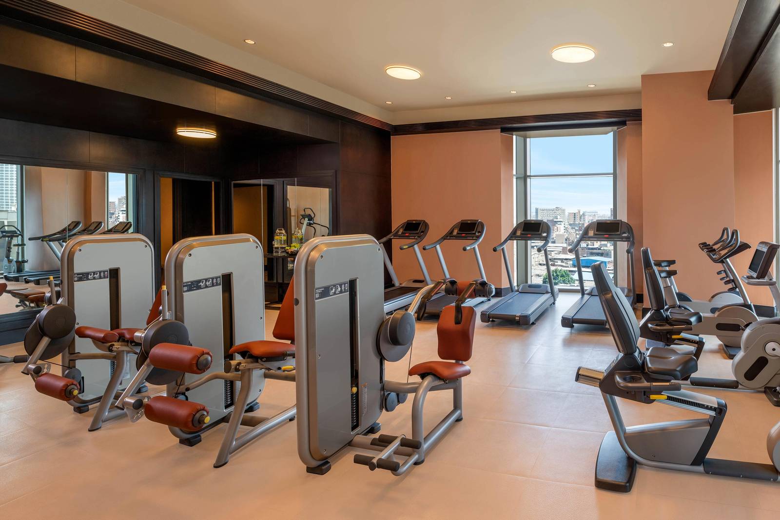 開羅瑞吉酒店 The St. Regis Athletic Club 的健身器材