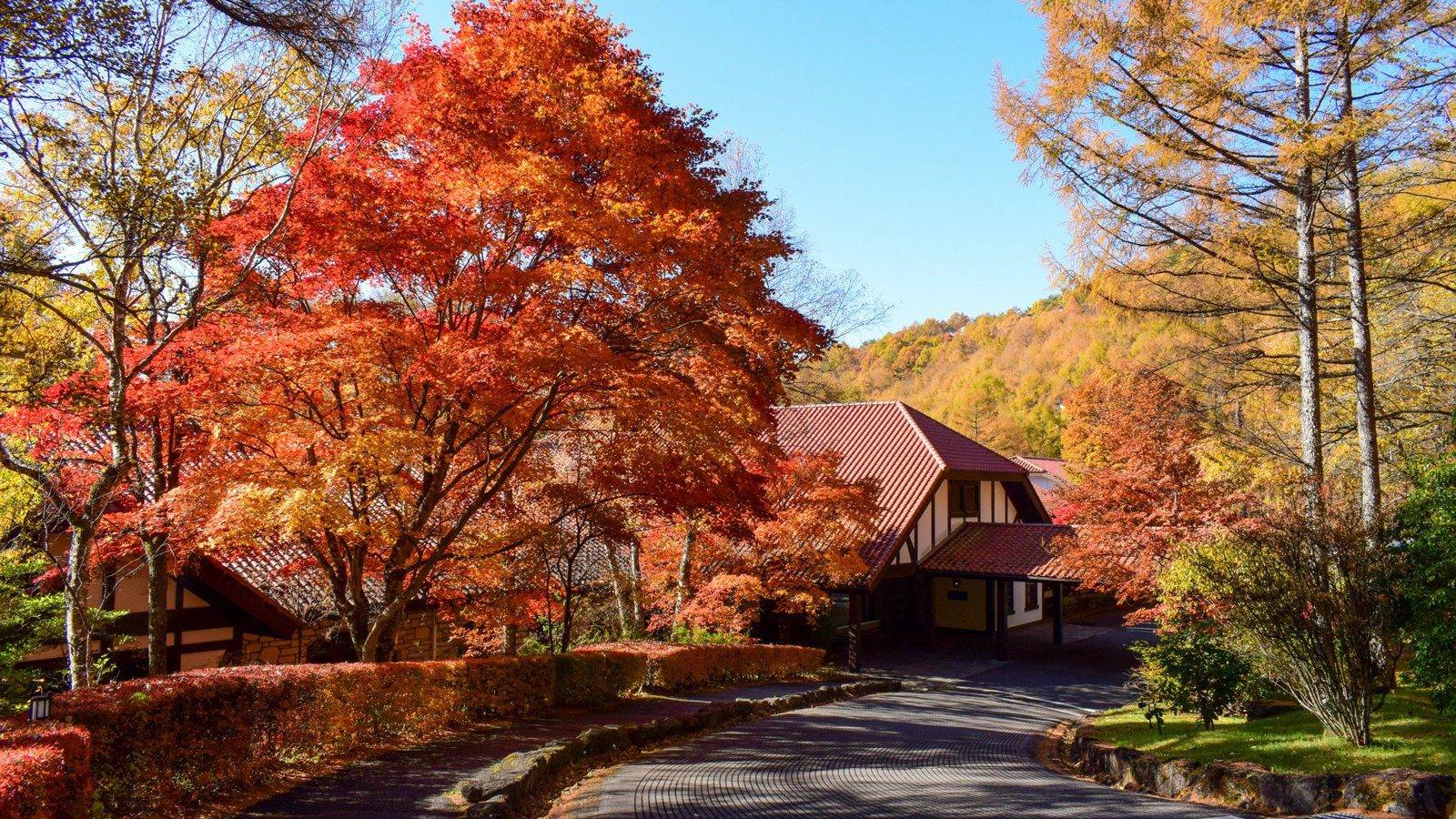 蓼科東急飯店秋季紅葉中的入口與洋館外觀